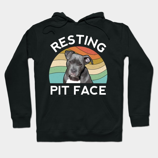 Funny Pit Bull Gift Resting Face Retro Pitbull Dog Vintage Hoodie by Shirtsurf